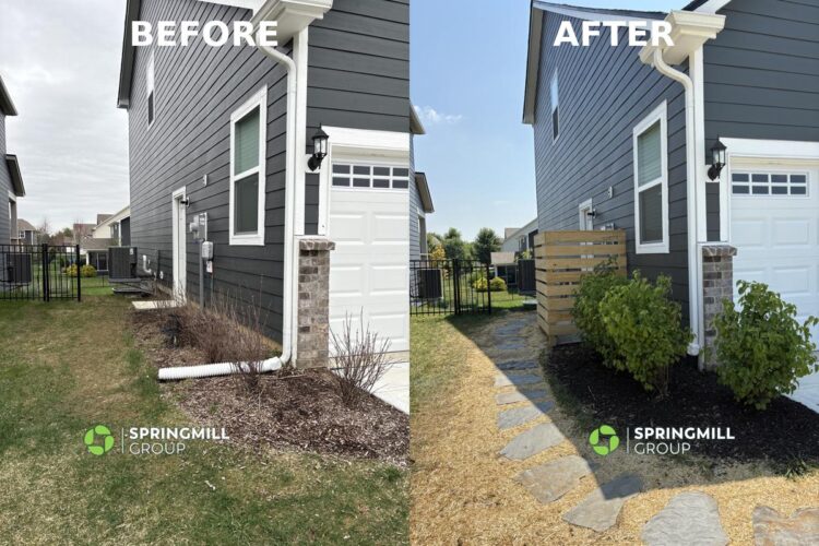 Before & After – P Before & After - P
